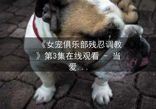 《女宠俱乐部残忍调教》第3集在线观看 - 当爱变成枷锁,谁能挣脱这黑暗漩涡?