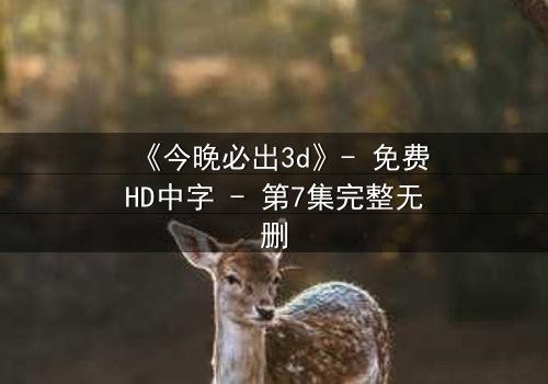 《今晚必出3d》- 免费HD中字 - 第7集完整无删