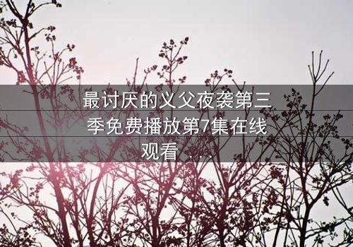 最讨厌的义父夜袭第三季免费播放第7集在线观看 - 揭开家族背叛的终极真相