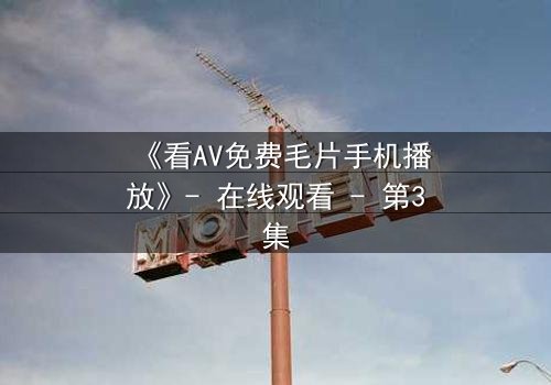《看AV免费毛片手机播放》- 在线观看 - 第3集
