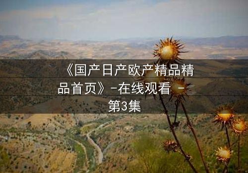 《国产日产欧产精品精品首页》-在线观看 - 第3集