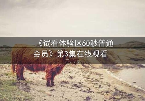 《试看体验区60秒普通会员》第3集在线观看 - 60秒的诱惑,命运的转折点