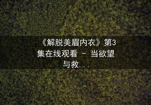 《解脱美眉内衣》第3集在线观看 - 当欲望与救赎交织,谁将主宰命运?