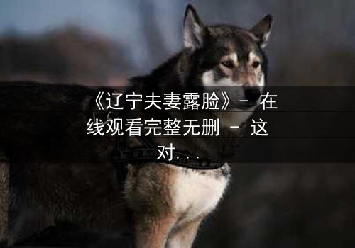 《辽宁夫妻露脸》- 在线观看完整无删 - 这对夫妻的秘密曝光了!