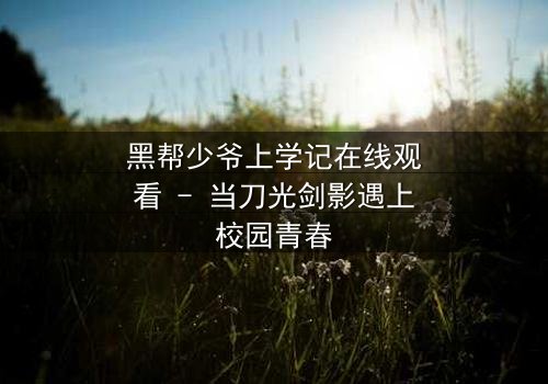 黑帮少爷上学记在线观看 - 当刀光剑影遇上校园青春