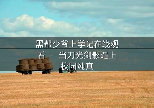 黑帮少爷上学记在线观看 - 当刀光剑影遇上校园纯真