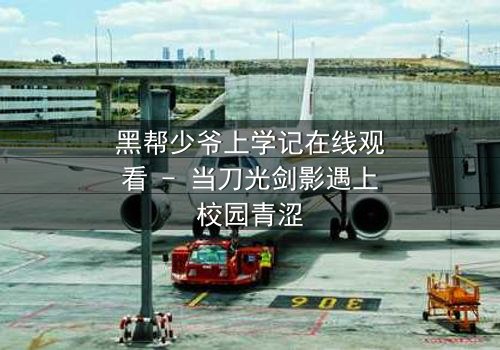 黑帮少爷上学记在线观看 - 当刀光剑影遇上校园青涩