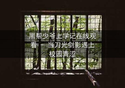 黑帮少爷上学记在线观看 - 当刀光剑影遇上校园青涩