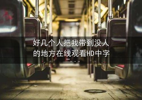 好几个人把我带到没人的地方在线观看HD中字 - 当黑暗降临,真相浮出水面