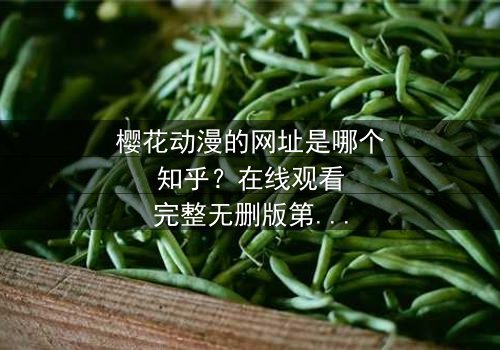 樱花动漫的网址是哪个知乎?在线观看完整无删版第7集 - 揭开动漫迷的终极秘密,你敢点开吗?