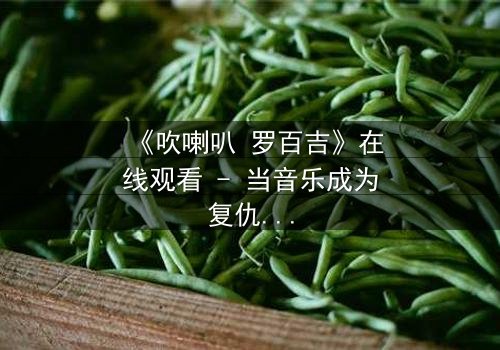 《吹喇叭 罗百吉》在线观看 - 当音乐成为复仇的武器,真相在旋律中颤抖!