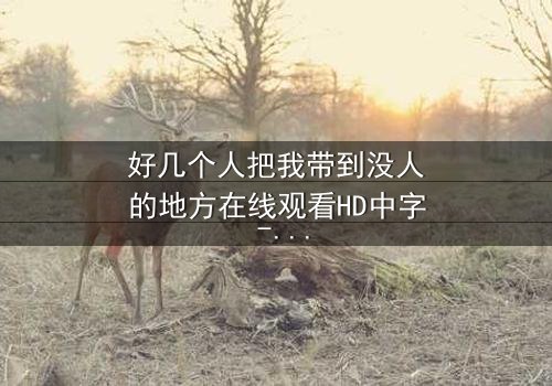 好几个人把我带到没人的地方在线观看HD中字 - 当黑暗降临,谁能逃出生天?