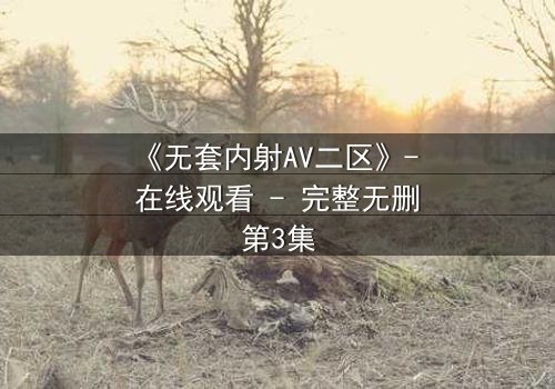 《无套内射AV二区》- 在线观看 - 完整无删第3集