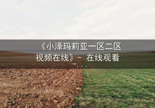 《小泽玛莉亚一区二区视频在线》- 在线观看 - 第5集