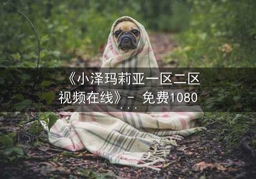 《小泽玛莉亚一区二区视频在线》- 免费1080P超清 - 完整无删第3集