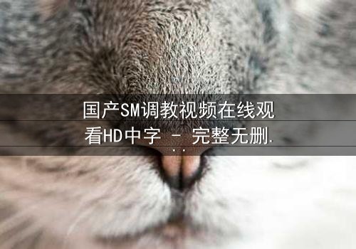 国产SM调教视频在线观看HD中字 - 完整无删版第3集 - 禁忌之恋的隐秘契约