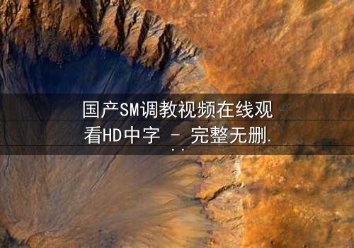 国产SM调教视频在线观看HD中字 - 完整无删版第3集 - 禁忌之恋的隐秘风暴