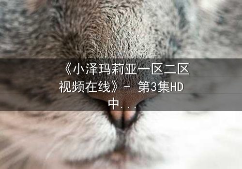 《小泽玛莉亚一区二区视频在线》- 第3集HD中字 - 揭开隐藏的真相,你敢直面吗?