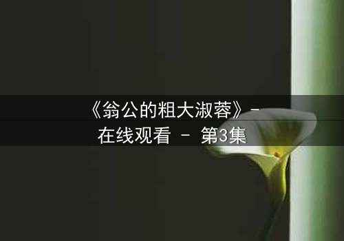 《翁公的粗大淑蓉》- 在线观看 - 第3集