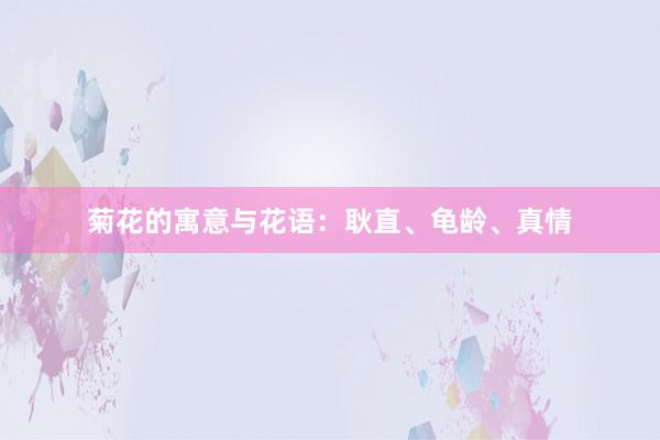 菊花的寓意与花语：耿直、龟龄、真情